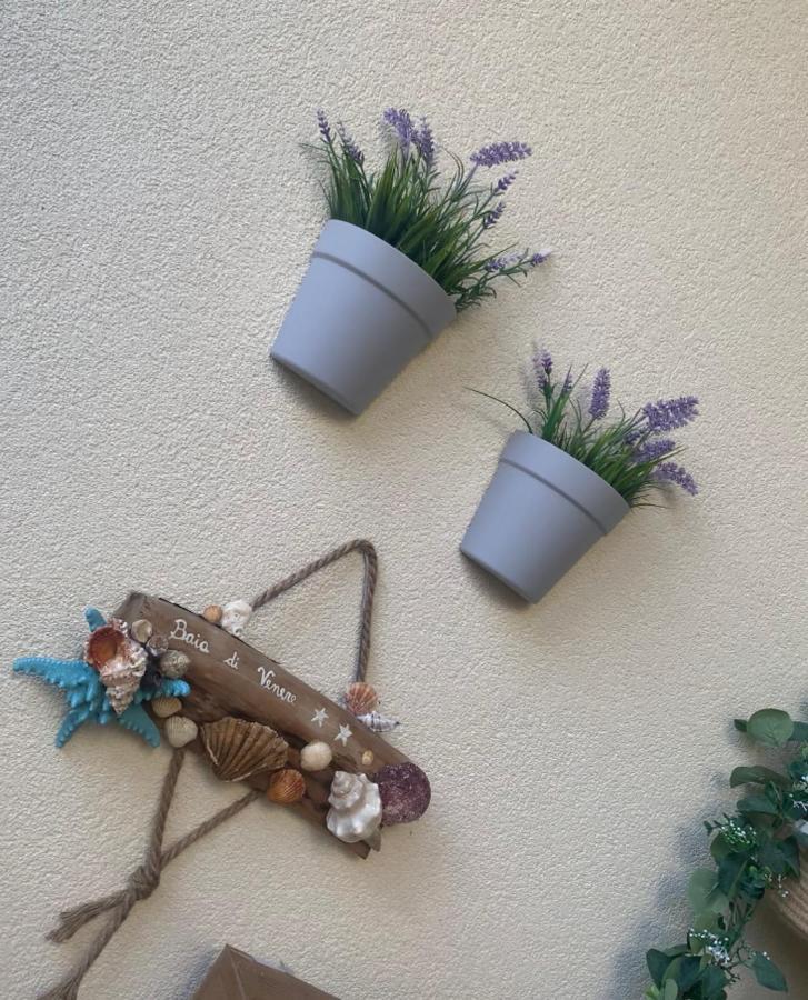 Hotel Baia Di Venere San Vito Lo Capo Zewnętrze zdjęcie